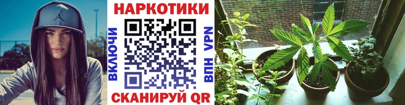 Какие есть наркотики Кондопога COCAIN A PVP ГАШ Меф