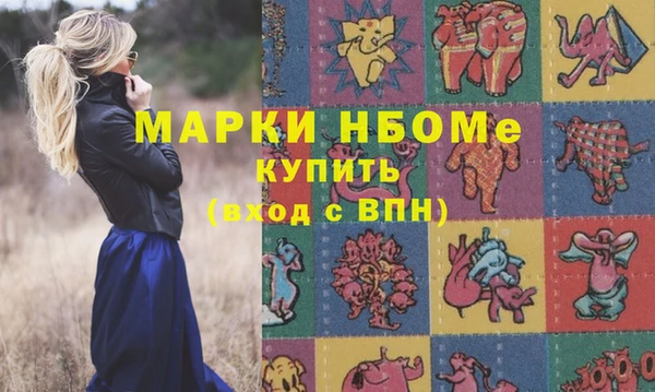гашик Алзамай