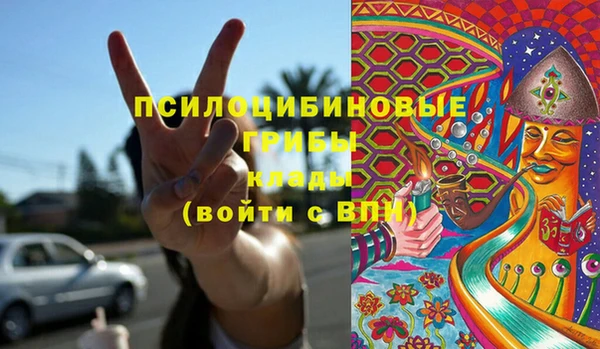 гашик Алзамай