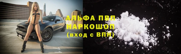гашик Алзамай