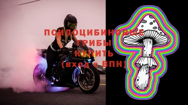 ECSTASY Алексеевка