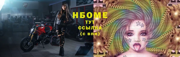 гашик Алзамай