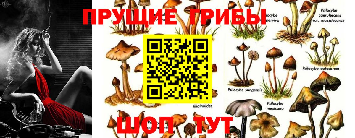 Кондопога  Псилоцибиновые грибы мухоморы  Вход с VPN  Псилоцибиновые грибы Psilocybine cubensis 