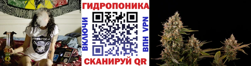 Бошки Шишки White Widow  Кондопога 